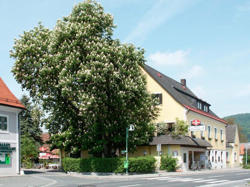Gasthof Thaller Ξενοδοχείο Lebring Εξωτερικό φωτογραφία